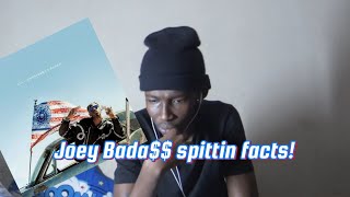 JOEY BADA  LAND OF THE FREE  REACTION [upl. by Hallie]