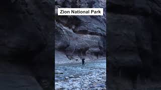 Zion National Park  Top Things You NEED to do in Zion National Park in Utah  travel zion utah [upl. by Gnah]