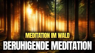 Meditation im Wald  Beruhigende Meditation [upl. by Shelia647]