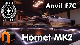 Star Citizen  Anvil Hornet F7C MK2 [upl. by Cami585]