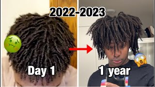 1 YEAR VISUAL FREEFORMS LOCS  2022 2023 Starter Freeform  Freeform dreads Journey [upl. by Noynek823]