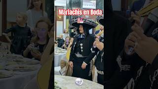 Mariachis en Boda Madrid [upl. by Nivanod]