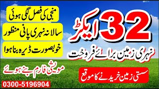 Land For Sale  32 Acre Agriculture Land For Sale  Zarai Zameen [upl. by Thomson]