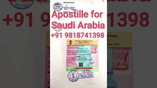 Apostille Services in Delhi India JayaInternational [upl. by Aremus808]