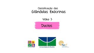 3 Glândulas Exócrinas Ductos [upl. by Nolyad368]