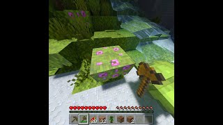 Minecrafts Arbitrary Code Execution Shorts [upl. by Nerdna]