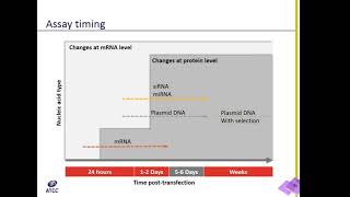 Designing a transfection experiment [upl. by Ytsirhk]