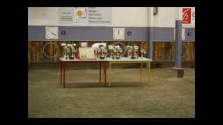 Ecole de pétanque de TREBAS au concours de RODEZ [upl. by Marozik]