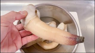 Japanese Street foodHow to Eat Geoduck Shellmirugai for sashimi [upl. by Einafats]