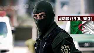 Algerian Special Forces 2019  DSI GOSP  BRI [upl. by Brockwell918]