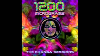 1200 Micrograms  The Changa Zone [upl. by Neleh238]