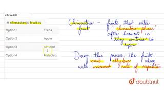 A climacteric fruit is [upl. by Gytle]