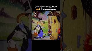 تعلب مكار يريد اكل الكتاكيت الصغيرة 😯🔥 voiceover [upl. by Madaih]