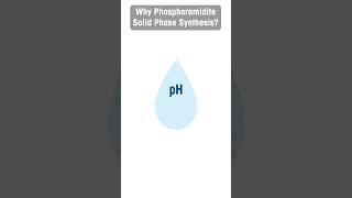 Why Phosphoramidite Solid Phase Synthesis [upl. by Bryana]