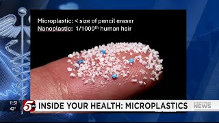 Inside Your Health Microplastics [upl. by Kcirddec]