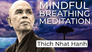 The Roots of Anger  Thich Nhat Hanh short teaching video [upl. by Nelo]