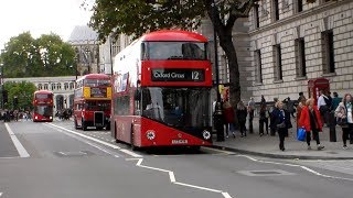 Buses in Parliament Street and Whitehall 08102017 [upl. by Adlare139]