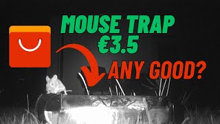 Cheap AliExpress Mouse Trap  Does It Really Work Test and Review [upl. by Trinatte]