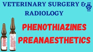 VSRPhenothiazine Preanesthetics [upl. by Nonnek525]