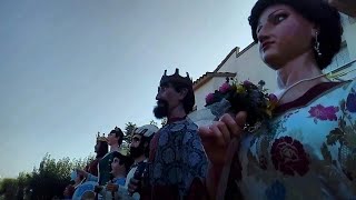 1Âª Trobada Comarcal de gegants del Baix Camp a Riudoms [upl. by Ellahcim]