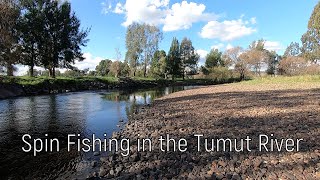 Spin Fishing For Trout In The Tumut River [upl. by Bartie183]