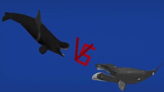 DCBA Livyatan VS Bowhead whale [upl. by Accem]