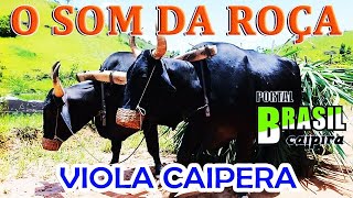 🔴 O SOM DA ROÇA  Viola CaipiraSertanejo Raiz Sertanejo 2024  Melhores Sertanejas AntigasVol129 [upl. by Carlos]