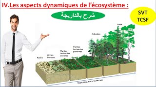 Laspect dynamique de lécosystème شرح بالداريجة 4 [upl. by Cyndia]