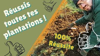 2  Comment bien planter un arbre fruitier à racines nues SIMPLEMENT [upl. by Furr]