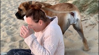 Boerboel tail smack to the neck [upl. by Shum]