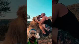 Brown lion And white lion nature lovely momenttrending short shortyt studeo yt shortviral [upl. by Yenial147]