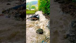 Hurricane Helene ROAD DESTROYED  canebranch rd Burnsville NC [upl. by Rimas465]