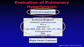 Evaluation of a Patient Suspected to Have Pulmonary Hypertension [upl. by Tlihcox944]