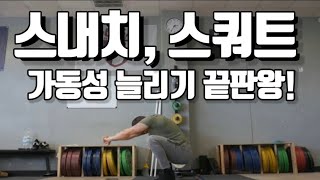 딥스쿼트atg 스쿼트 스내치 가동범위 운동  Zach Telander [upl. by Erny]