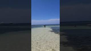 Punta Cana  Serenade Beach Club amp Spa  Part 28Sand Bar [upl. by Yt]