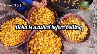 Narr Chohara Pila Chuhara kesy banta h  Detailed information about Yellow Dry Dates of Pakistan [upl. by Kareem381]