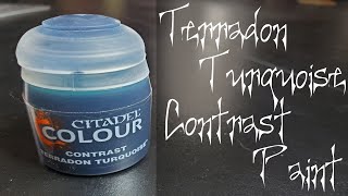 Terradon Turquoise Contrast Paint Demo [upl. by Anuqahs787]