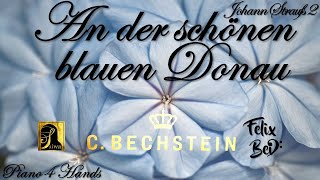 An der schönen blauen Donau Piano 4 Hands Strauss CBechstein A228 [upl. by Jaret]