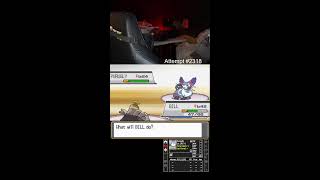 HeartGold Ironmon is this the run [upl. by Ynffit]