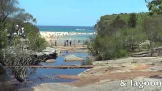 Stunning Walk to Wattamolla  Through Sydneys Royal National Park [upl. by Ybok]