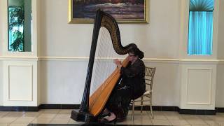 Offenbach Barcarolle on Harp [upl. by Tillinger]