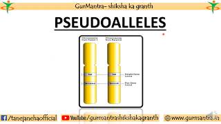 PSEUDOALLELES  CONCEPT OF GENE  GENETICS [upl. by Yentirb]