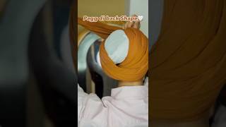 Dso kive lggi🤎jordansandhu likes viralvideo trendingshorts song youtubeshorts turban [upl. by Akahc]