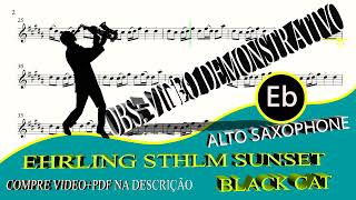 Ehrling Sthlm Sunset Remix  Black Cat  Alto Sax Eb [upl. by Mahsih]