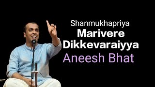 Marivere DikkavaraiyyaShanmukhapriyaAneesh BhatShanmukhapriyacarnaticclassical varnaviews [upl. by Kristel]