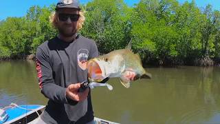 FISHING CAPE YORK [upl. by Nitsir]