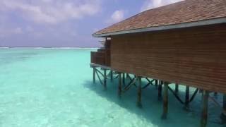 Meeru Island Resort Water Villa Tour [upl. by Melonie882]