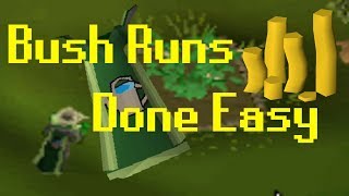 OSRS How To Do Bush Runs Fast and Easy [upl. by Eloise]