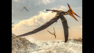 Pterosaur Sound Effects [upl. by Sherwin]