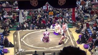 Hatsu basho 2024 Day 2 Yokozuna Terunofuji dohyo iri [upl. by Berneta]